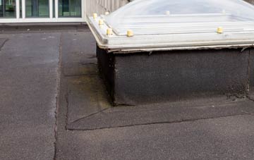 disadvantages of Twynyrodyn flat roofs