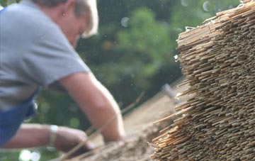 professional Twynyrodyn thatchers